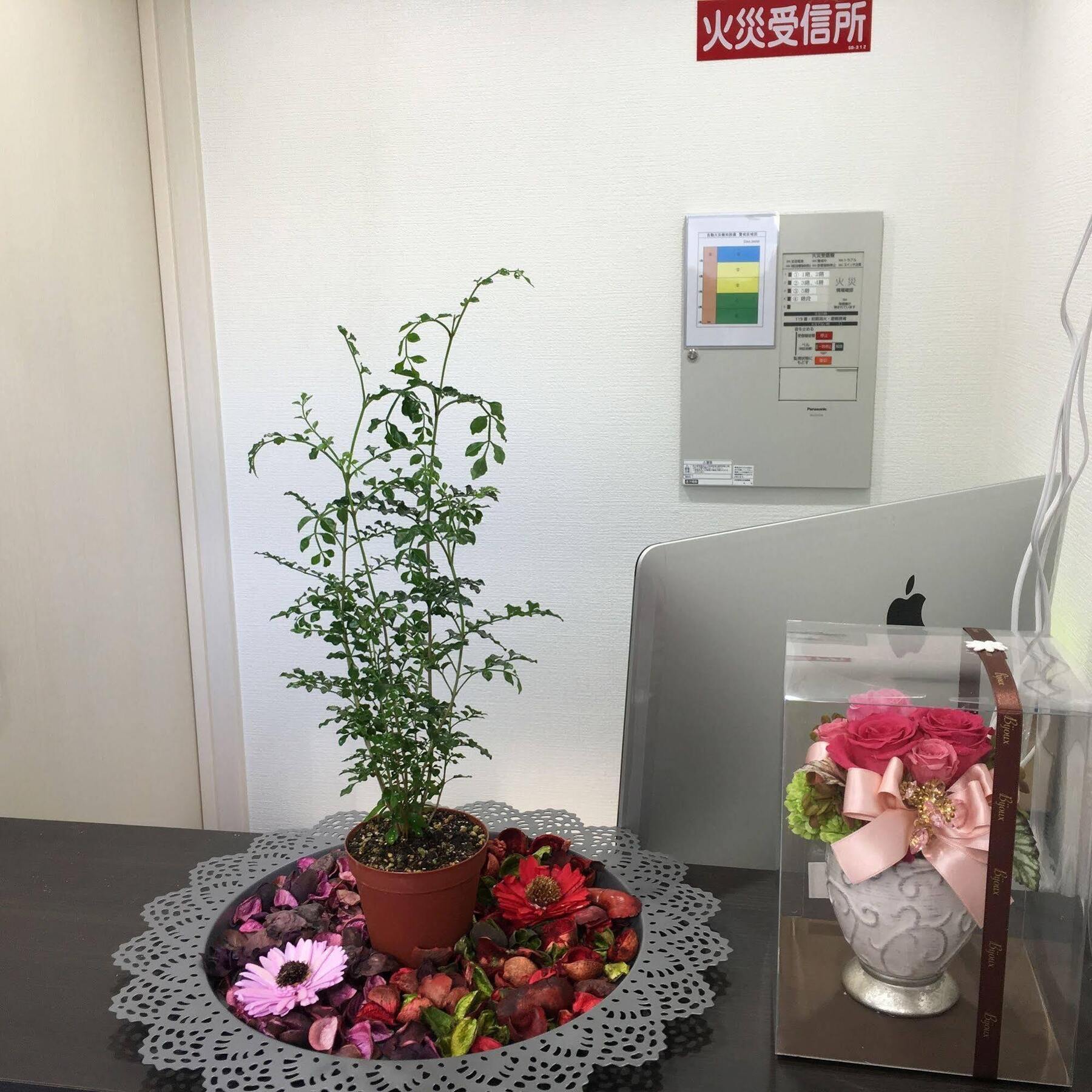 Coco Hostel Namba Osaka Bagian luar foto